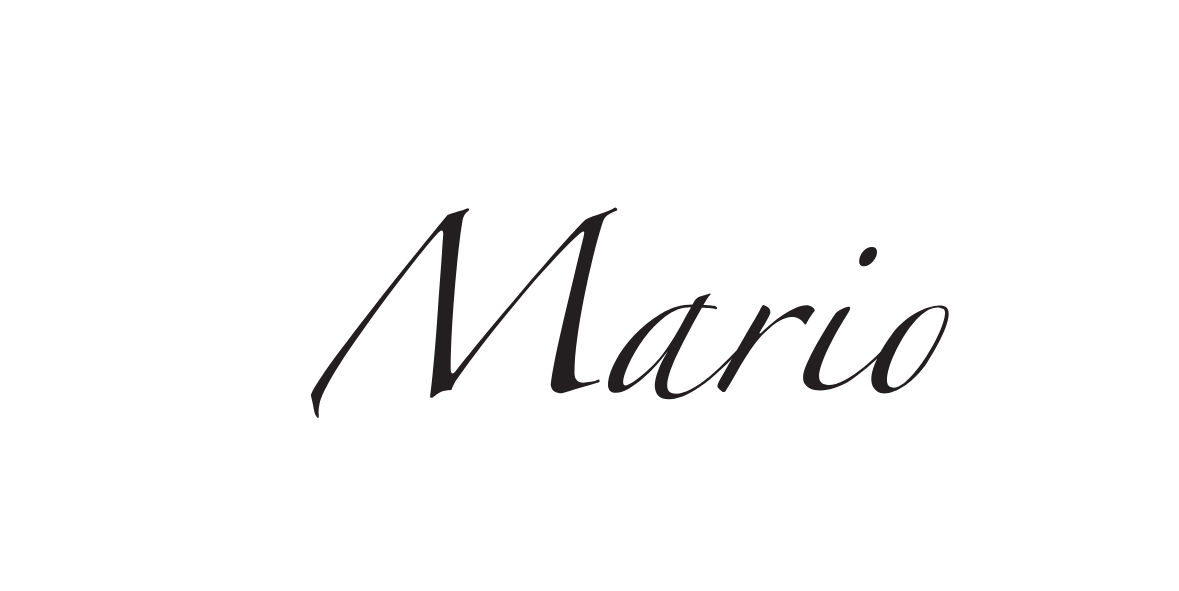 Logo Mario