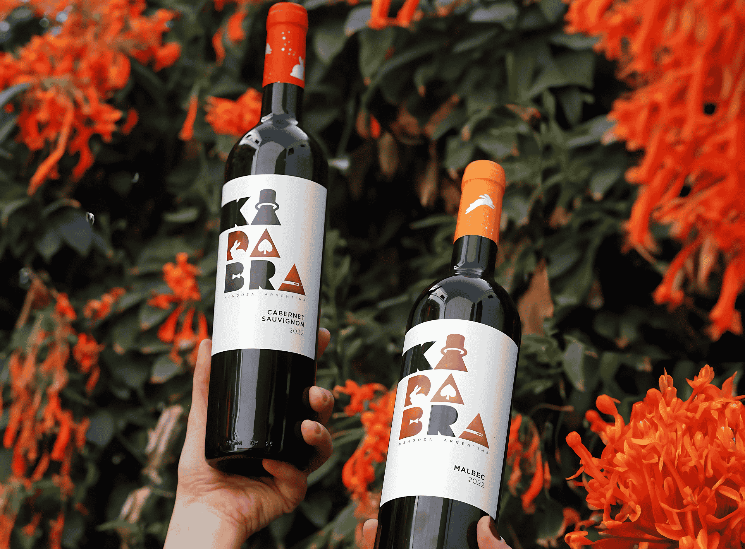 Vinho 3
